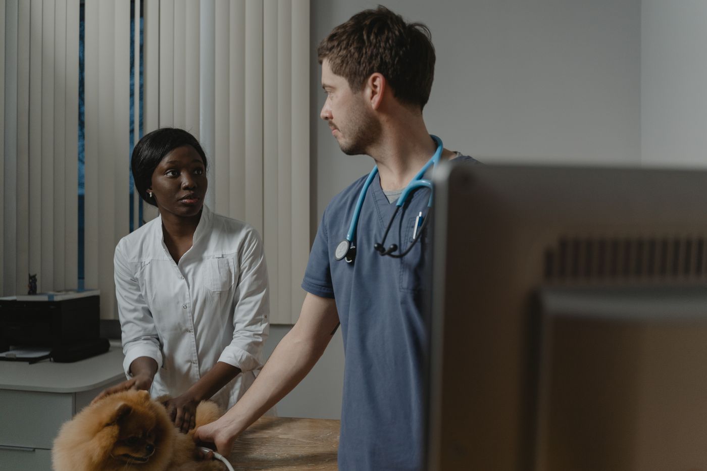 Omega specialists co-managing a canine surgical patient